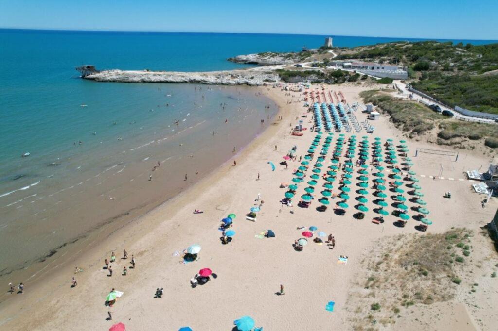 Appartamenti Gallo Club Vieste Exterior foto